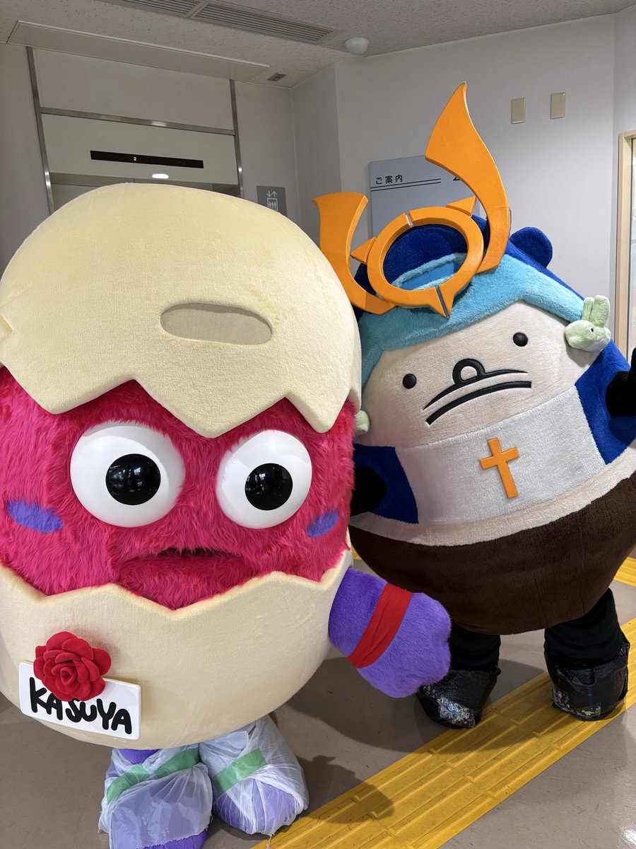 kasutamachan's tweet photo. @yukinagasyan 
かすたまちゃんが、
うとん行長しゃん先輩に
ツーショット頼んでました。
（モジモジモジモジ🥚） https://t.co/iGvAATBbG9