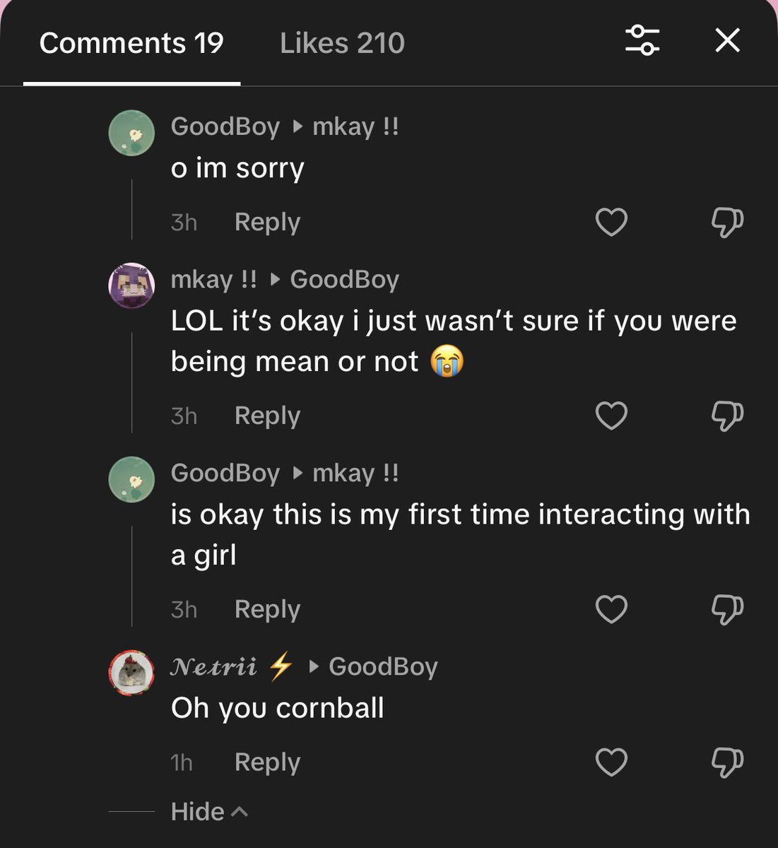 luverlow's tweet photo. every day i open my tiktok comments to absolute BULLSHIT 😭 https://t.co/HyWEOafWN6