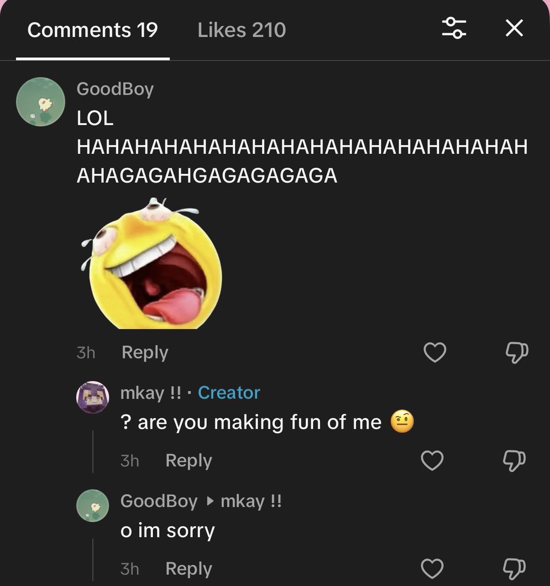 luverlow's tweet photo. every day i open my tiktok comments to absolute BULLSHIT 😭 https://t.co/HyWEOafWN6