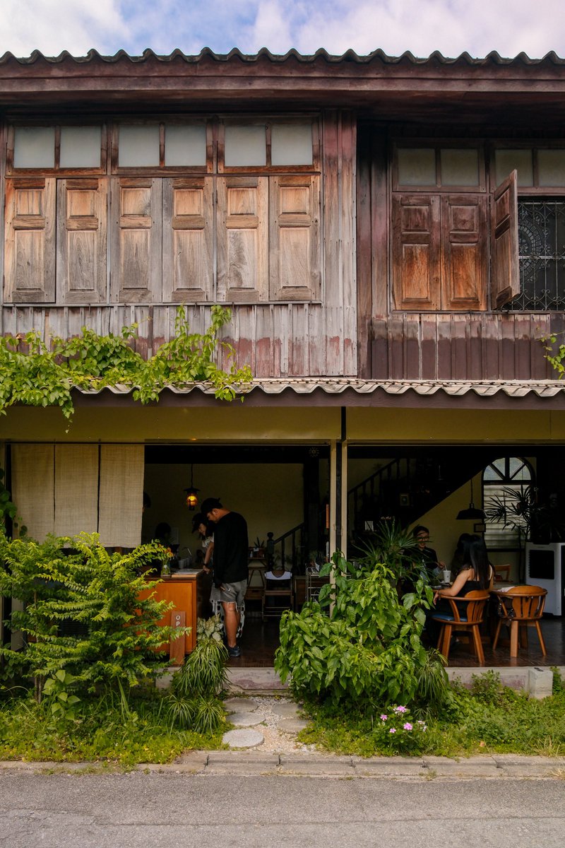 CAFETELLER's tweet photo. เปิดใหม่อีกร้าน Tih คาเฟ่เชียงใหม่แถวช้างม่อย เอาบ้านเก่ามาเปิดเป็นร้าน 2 คูหา เล็ก ๆ แต่จัดร้านดีมาก ยิ่งมุมบาร์คือสวยจับใจ แนะนำให้สั่งกาแฟดริปหรือไม่ก็เมนู signature ของเขานะ อร่อยเลย นี่ลองเป็น Sunshy น้ำอ้อย+มะกรูด+เกรปฟรุ๊ต คือลงตัวววว 🌿🤍☕️🌞 https://t.co/uBAfKAuOEx