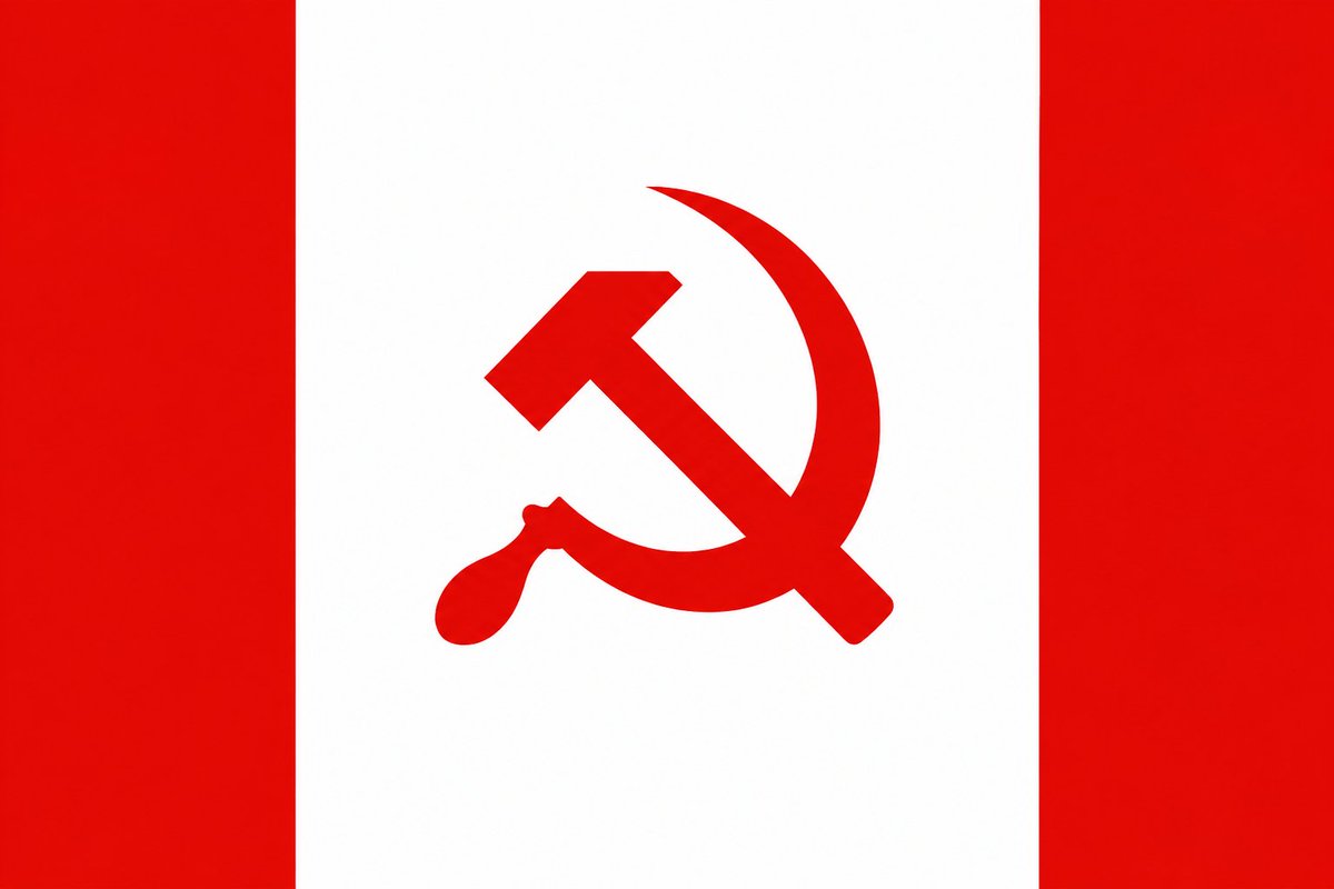BogdanSt74's tweet photo. @JillSweden1 @JillSweden1 you are either dellusional or you get paid for posting such abominations.  Carney is the new leader of the free world?! A world with bill C9 and bill C30? Carney is the leader of this world: https://t.co/EnL20sLyDh