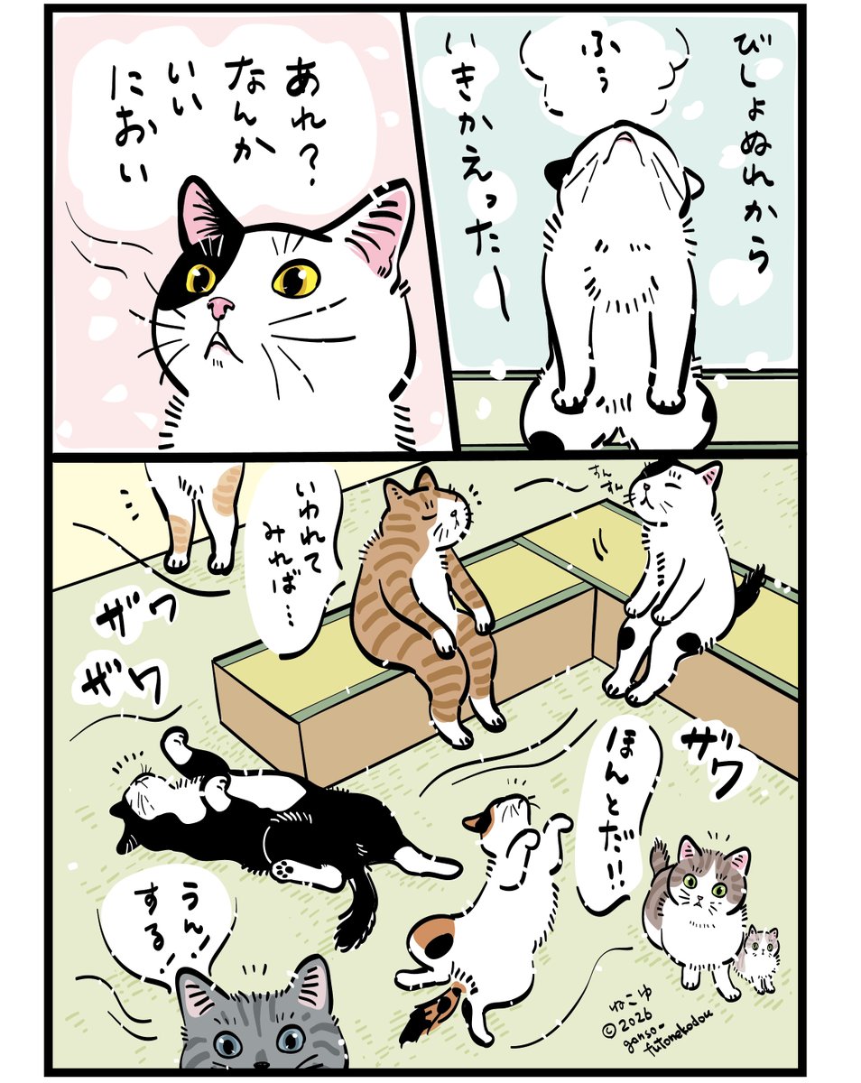 mojugiso's tweet photo. 雨の日のねこゆ♨️
びっしょりからふかふかに・・・！
そしてそれから？！
　
再掲です
　
#ねこゆ　#猫湯　
　
ねこゆのお話が本になります。
よかったらこちらを見てね↓ https://t.co/HsxwSQgOE4