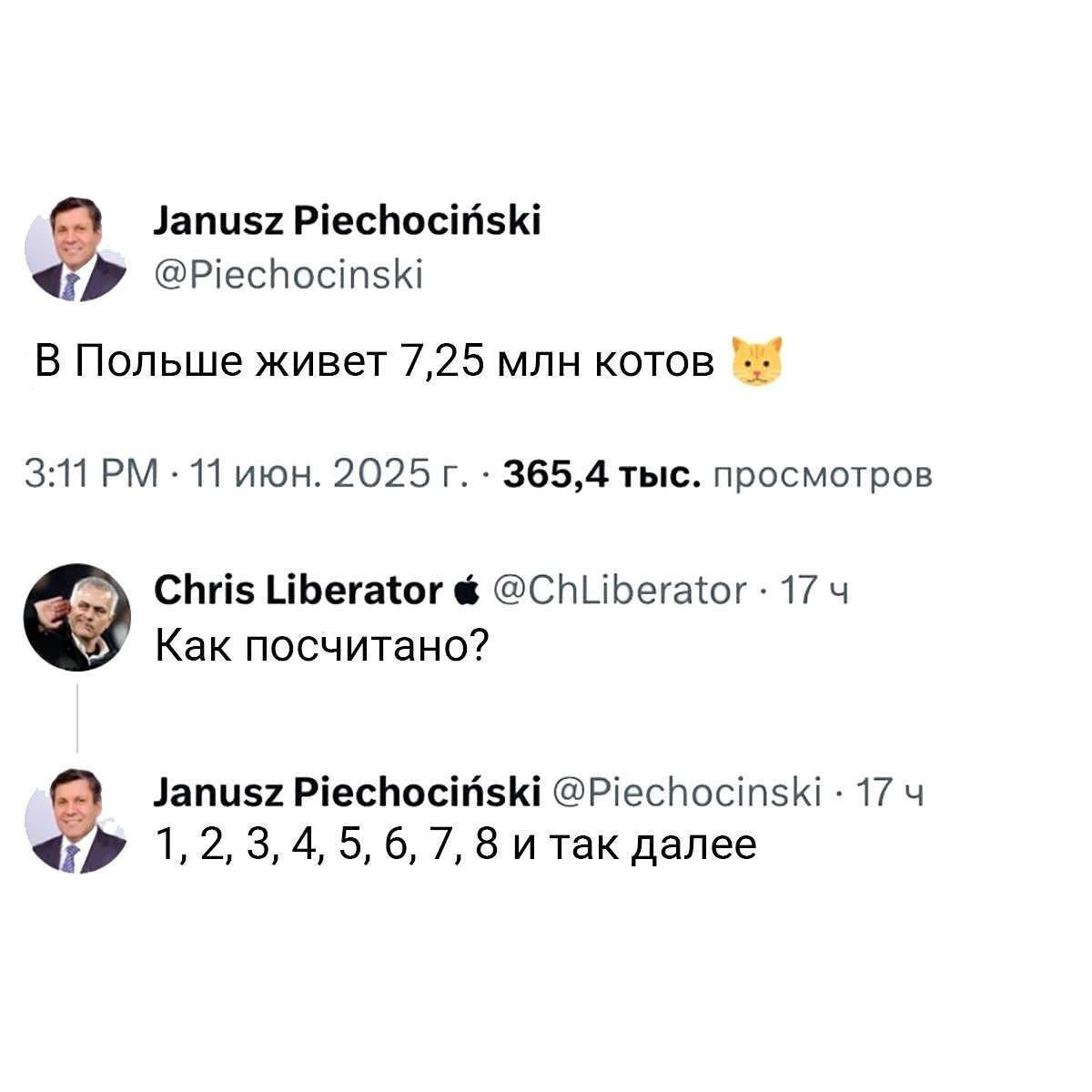 SEMENNSex312's tweet photo. Кто-то считает овец, а они котов https://t.co/50qopnXcKE