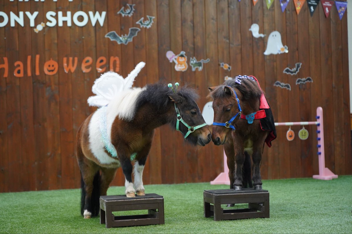 northern_horse's tweet photo. ／
ノーザンホースパークハロウィン2026 🎃
＼
10/1（木）～31（土）の期間、「ノーザンホースパークハロウィン2026」を開催します！
10/25（日）は、ハロウィンスペシャルイベントを開催。
仮装して来園した小学生以下のお子さまは入園料が無料になるほか、クイズに挑戦しながら園内を巡るスタンプラリー、射的や玉入れなど、ハロウィンを楽しめる催しが盛りだくさん！
さらに、仮装した馬たちによる「ハロウィンホースパレード」も開催します🐴

10/24（土）・25（日）には、ハロウィン特別ポニーショーも開催。

期間中は、園内にフォトスポットが登場するほか、10/10（土）からはハロウィン限定のスペシャルメニューやパン、デザートも登場します。
この秋は、パークならではのハロウィンをお楽しみください。

イベントの詳細ははこちら
https://t.co/IabU7oNJQM