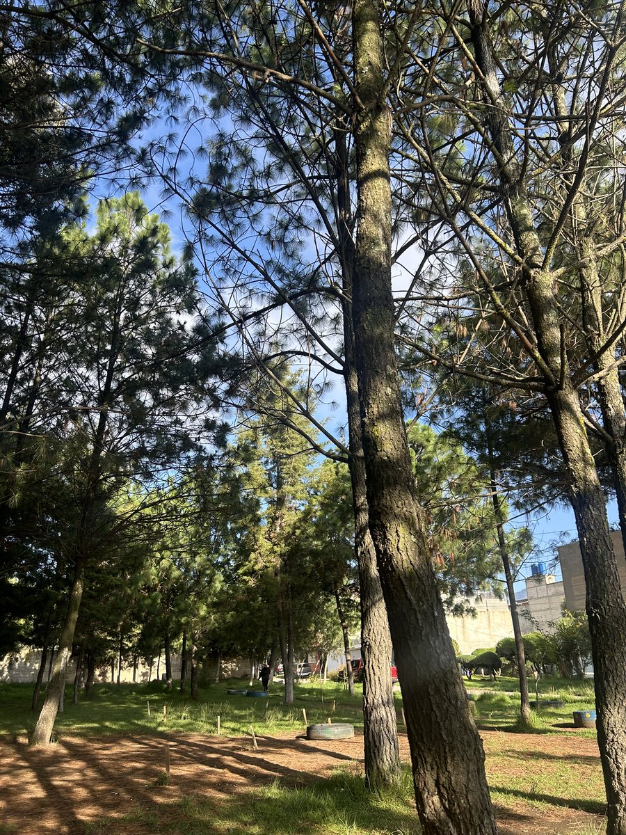 andrearodasss's tweet photo. Piel suavecita, solecito, ropa cómoda, aire fresco, música linda, pelo lindo y suavecito 🥰 gracias Dios https://t.co/wDsjOHL421