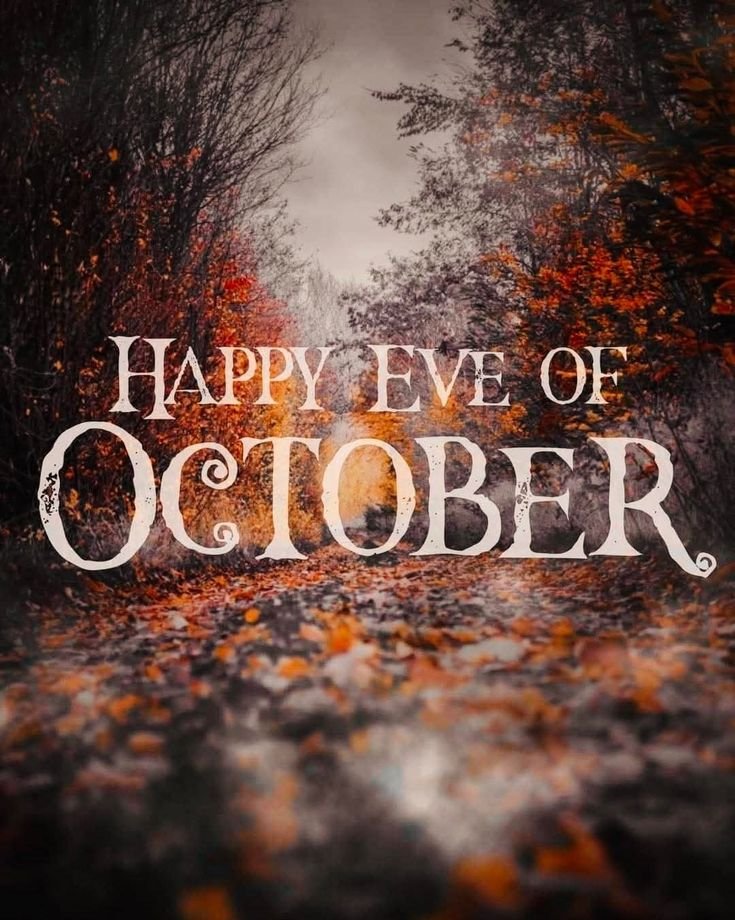 ChrisBats516's tweet photo. Happy Wednesday All 🖤🎃 https://t.co/FV1siQx7Vw