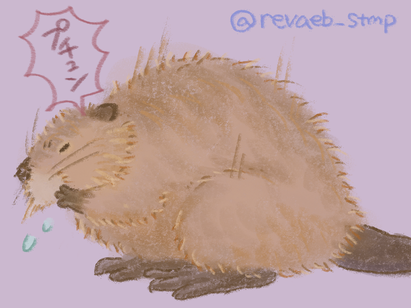 revaeb_stmp's tweet photo. 今月もビーバーいっぱい描きました🦫
#今月描いた絵を晒そう https://t.co/EIldZiq0ce