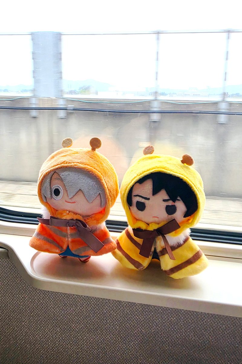 33_island's tweet photo. 先日撮ったおそとを見るぷちぶんちゃん　リボンが永遠に曲がっておられるね https://t.co/5iBcFugdOG