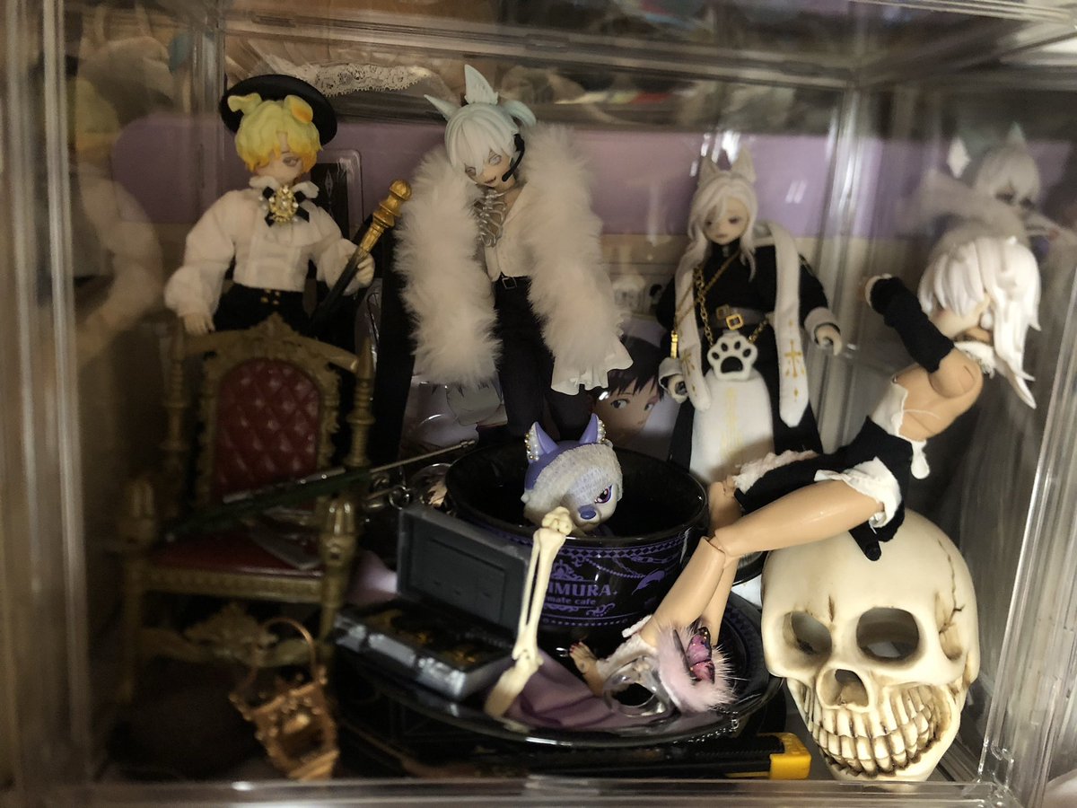 LSnowlily's tweet photo. 購入しに行ってタイニーフォックスのチェリーちゃんに一目惚れ、そのまま自分がお迎え（！？）

ちなみに今年はご縁があって後ろの3人のオーナーになるわ、突然やる気が出てセリアドールで頑張ってキャラドール作ったり、全然違う界隈で繋がった方が実はドールオーナーで一緒にアフヌンしたりした https://t.co/bpsI9iiXDb