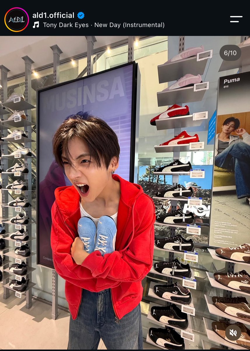 lynlivestherain's tweet photo. guys … brown or blue 🥺🥺🥺 ??? quick https://t.co/ZH0Qp2KMwv