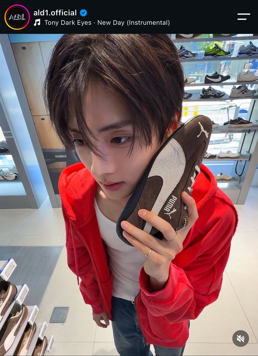 lynlivestherain's tweet photo. guys … brown or blue 🥺🥺🥺 ??? quick https://t.co/ZH0Qp2KMwv