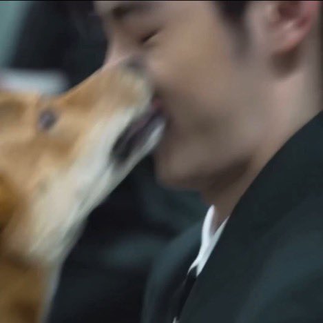 INTERPIDE's tweet photo. Cireng pasti cemburu bapaknya disosor anjing lain. https://t.co/fpJxqHV6cp