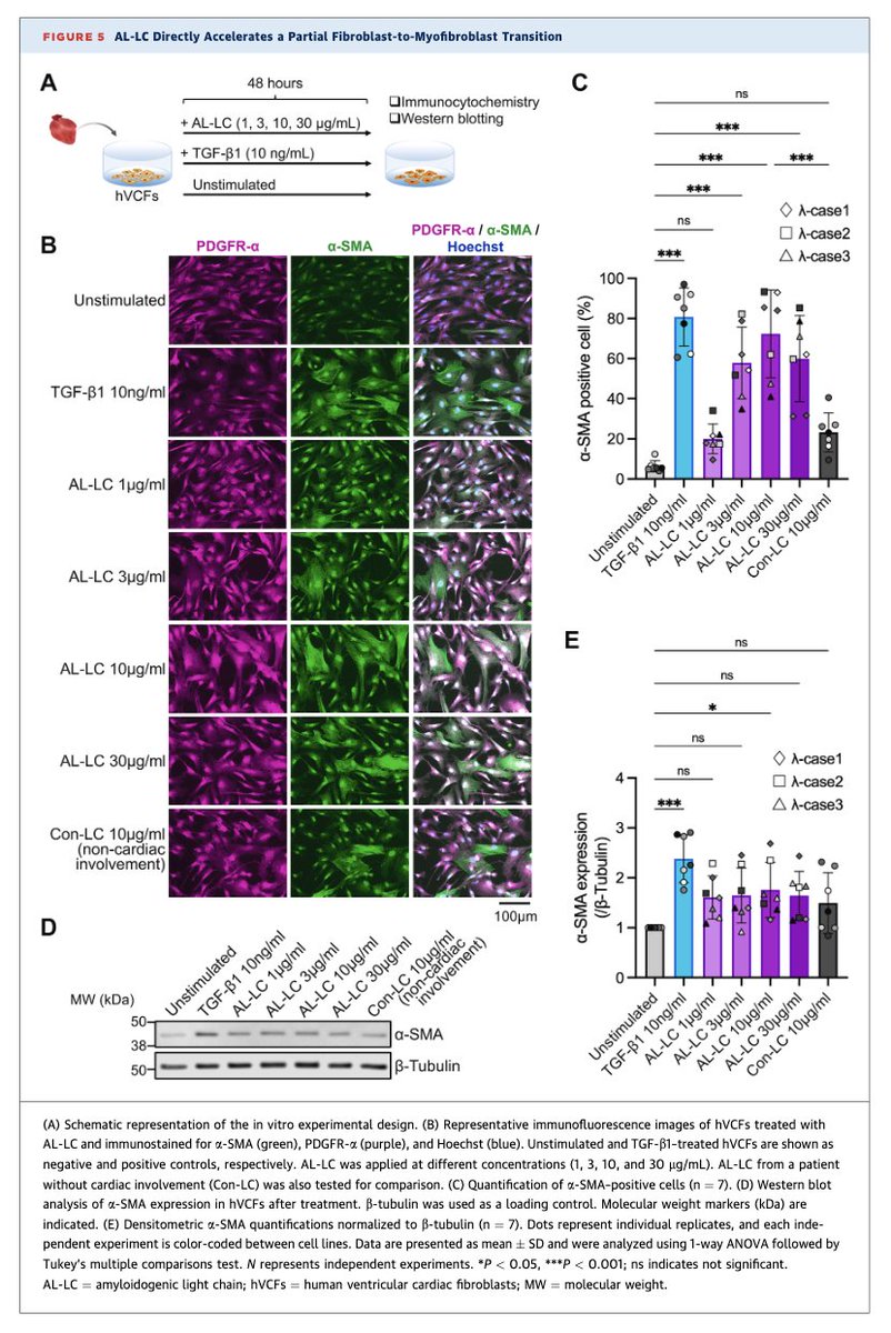 Myeloma_Doc's tweet photo. #Myeloma Paper of the Day: Transcriptome analysis of AL #amyloidosis pt myocardial samples finds upregulation of fibroblast activation genes (e.g. collagen type I/III & periostin), fibroblast-to-myofibroblast transition in vitro & matrix remodeling: https://t.co/re73ymwdq3. #alsm https://t.co/R4Fj3m0eGs