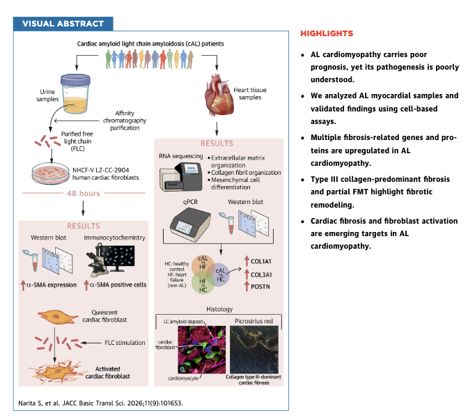 Myeloma_Doc's tweet photo. #Myeloma Paper of the Day: Transcriptome analysis of AL #amyloidosis pt myocardial samples finds upregulation of fibroblast activation genes (e.g. collagen type I/III & periostin), fibroblast-to-myofibroblast transition in vitro & matrix remodeling: https://t.co/re73ymwdq3. #alsm https://t.co/R4Fj3m0eGs