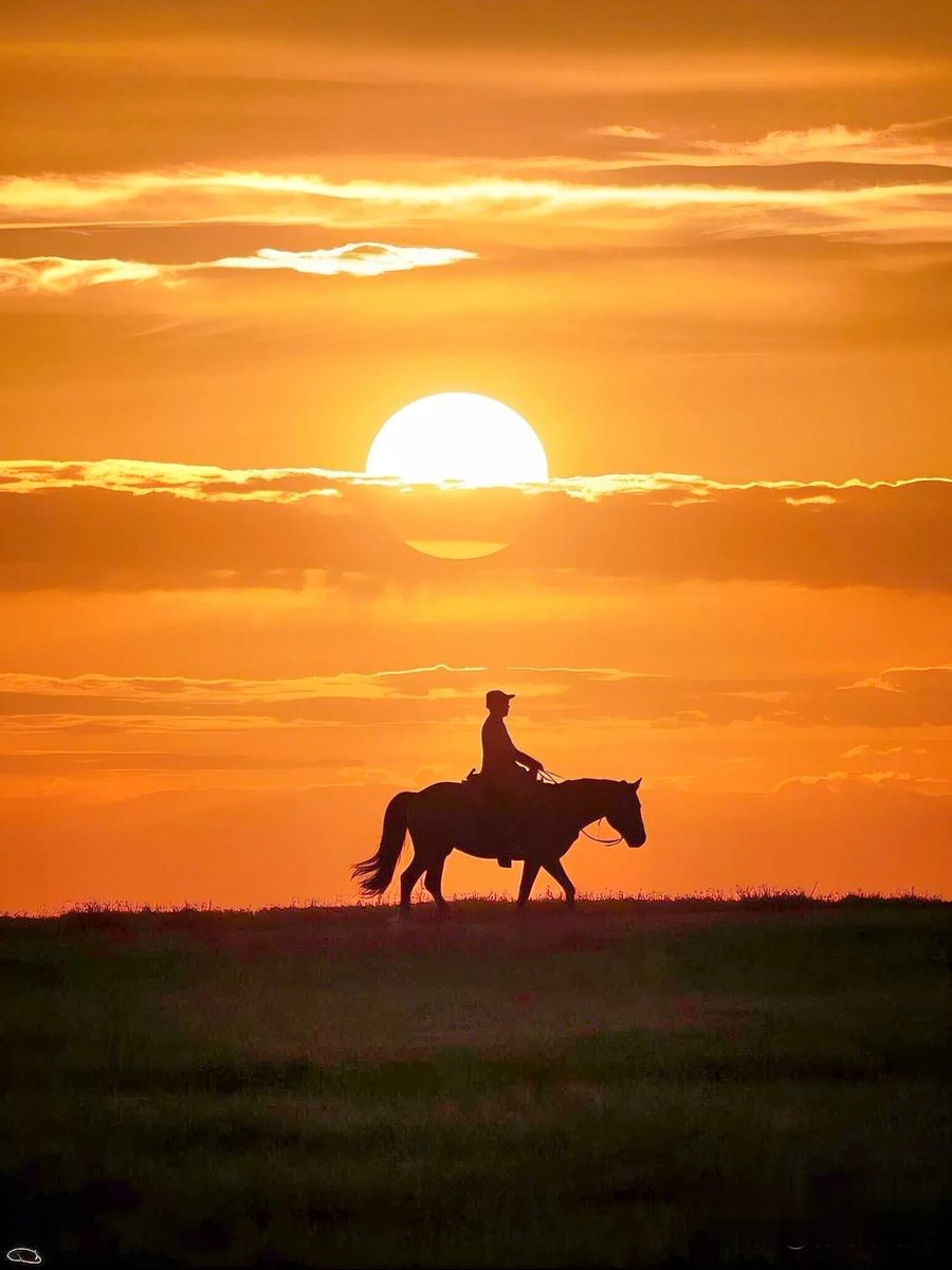 RJ95764934's tweet photo. [Mu Huilun’s calm gaze in the sunset pasture, this unique moment feels so warm and real]， https://t.co/g0EcOv5sK3