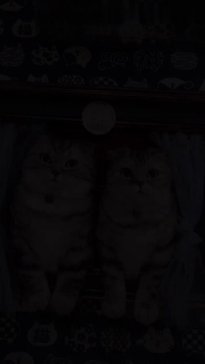 EustoliaAdejcd's tweet photo. Hoy hice llaveros de fieltro con motivos de gatitos super tiernos, son fáciles de hacer y son regalos ideales para amigos  #ManualidadesCreativas #DIY， https://t.co/d8jvaUx9sO