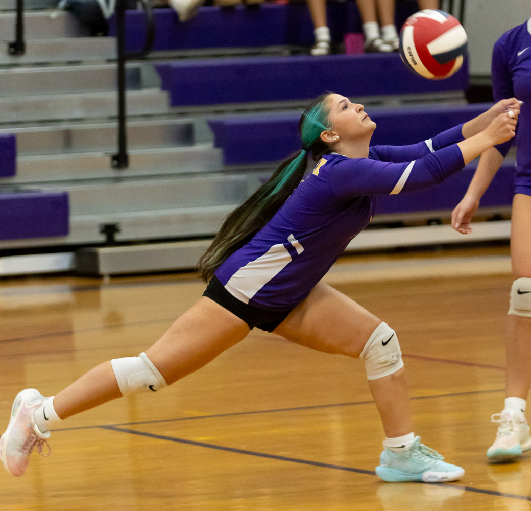 wvcsd's tweet photo. Check out some photos from Warwick's varsity volleyball match against Minisink Valley last week:🏐 Go Wildcats! https://t.co/9CY5sUIikn