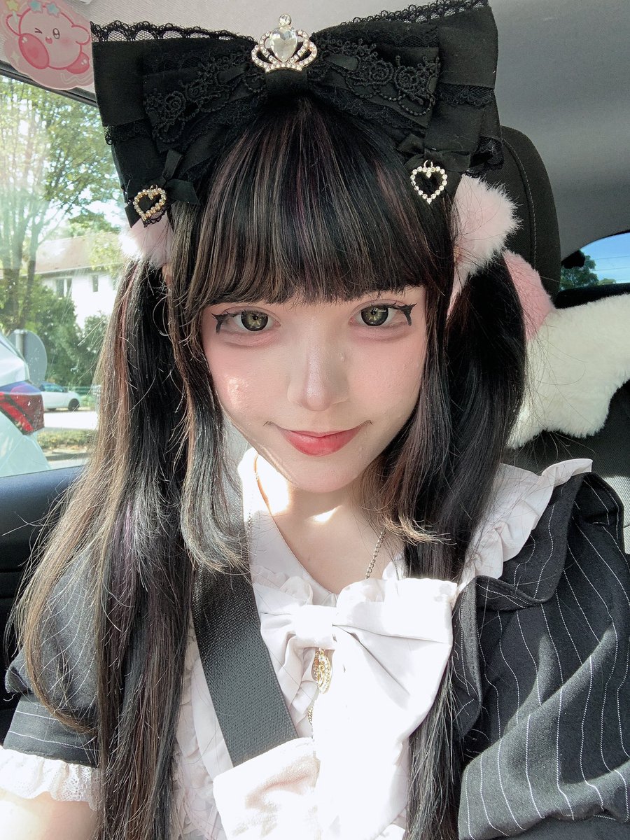 httpiku's tweet photo. bow bigger than my life expectancy https://t.co/rOgfaIivwG