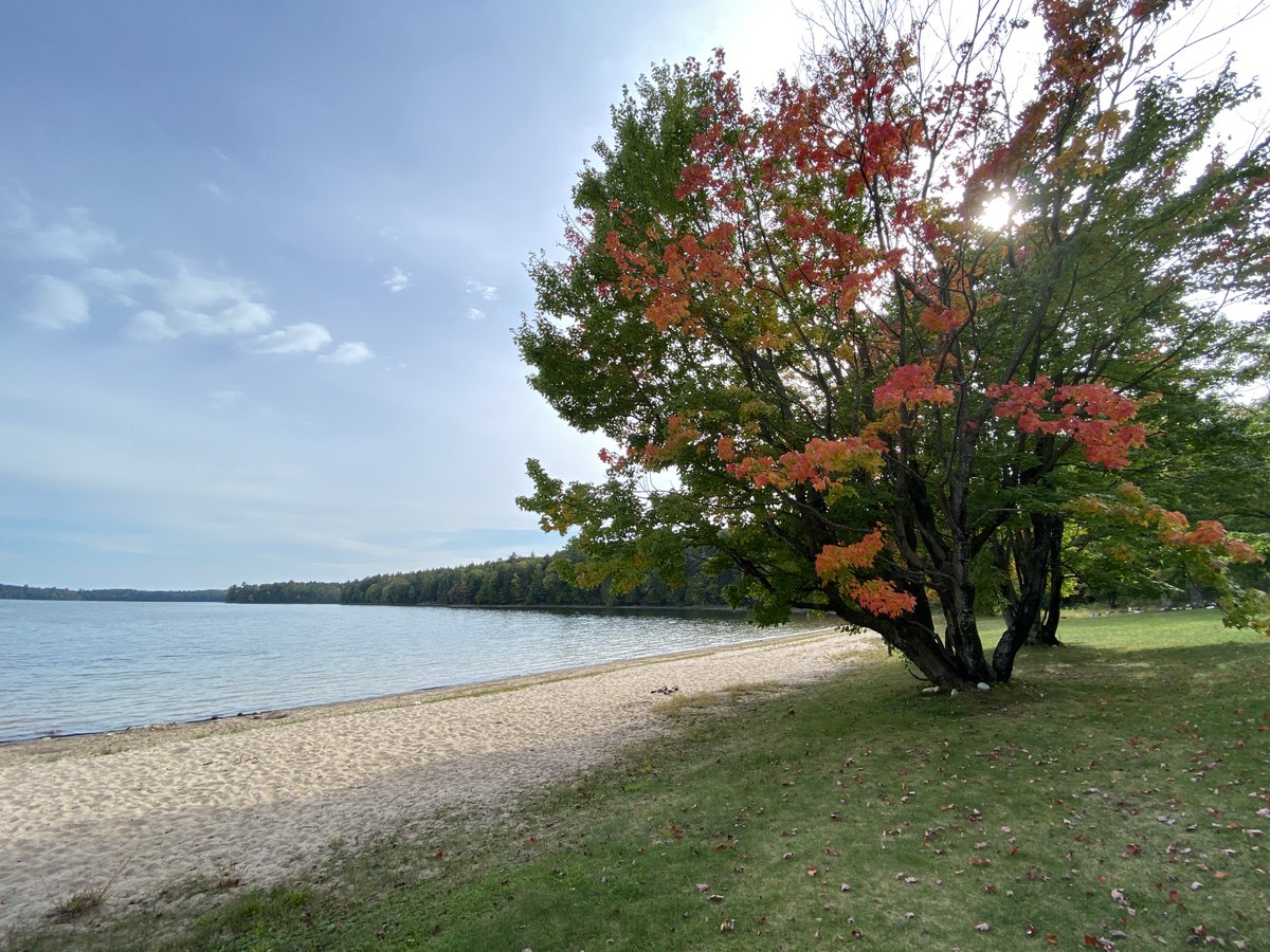 forestservice's tweet photo. Perfect fall weather at Clark Lake on the Ottawa National Forest in Michigan, where sun, blue skies, clear water, and bright orange leaf colors are all putting on a show. Get out and enjoy your big backyard! https://t.co/8Vjm0z5S1H

(Forest Service photo by Shanelle Saunders) https://t.co/T18QnVAa6f