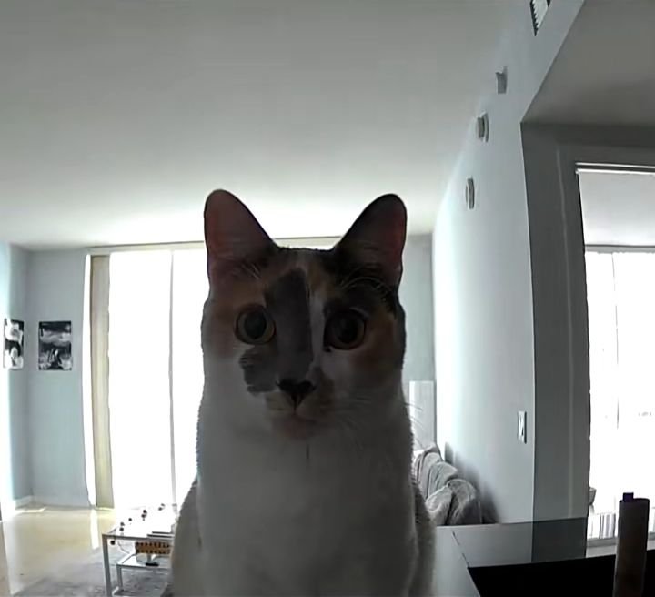 piastripurrs's tweet photo. smile! we are recording you 😁 https://t.co/e1s66mwzZc