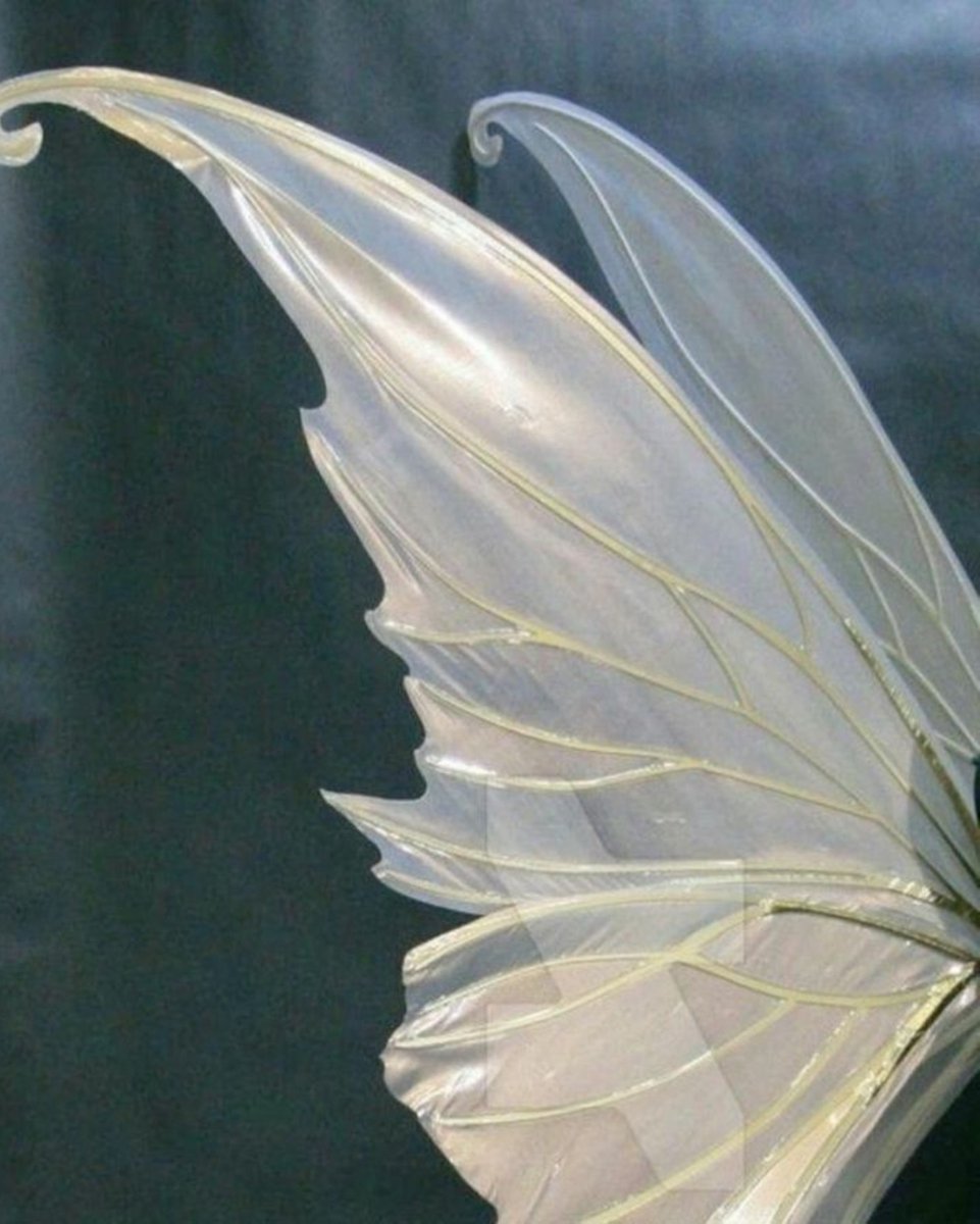 smallouww's tweet photo. he was a fairy ✨️ https://t.co/wYGtegsb6g