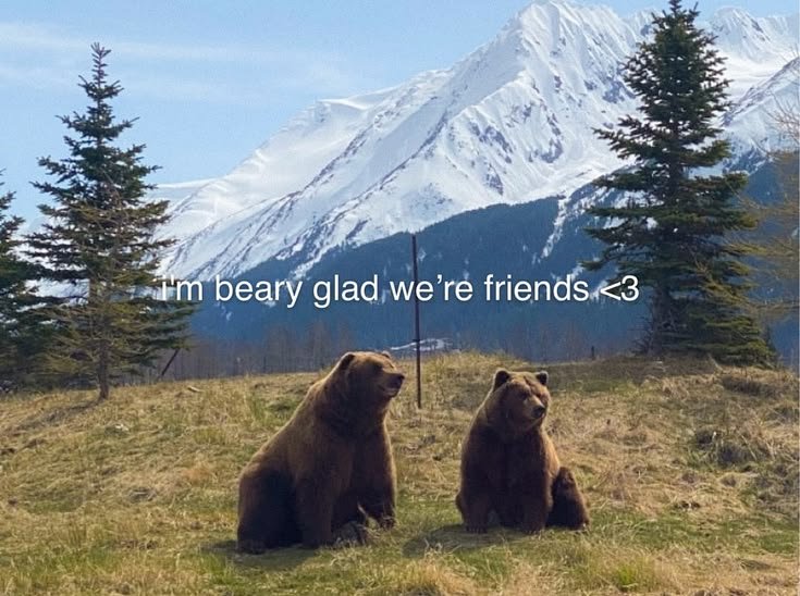 Bear1nCrisis's tweet photo. https://t.co/ouxMQCTQbp