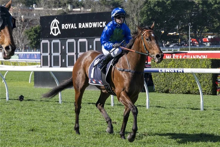 Luckybarrier's tweet photo. 🚨 R5 RANDWICK, THE MONA LISA 🚨

I’d definitely have The Mona Lisa as an eachway play here. 👀

She won from barrier 11 last start and has drawn barrier 11 again clearly she knows how to overcome it.

If you’re confident enough to take the win, I reckon she’s at a great price to go on with it. But for me, the each-way looks the play. 💰🔥

THE MONA LISA! KEEP AN EYE ON HER. 🏇
