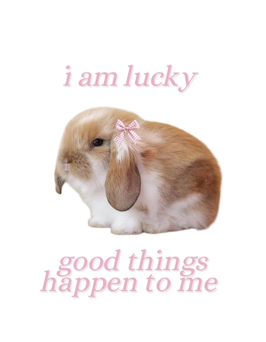 bunniposts's tweet photo. https://t.co/TpYDRKqoxh