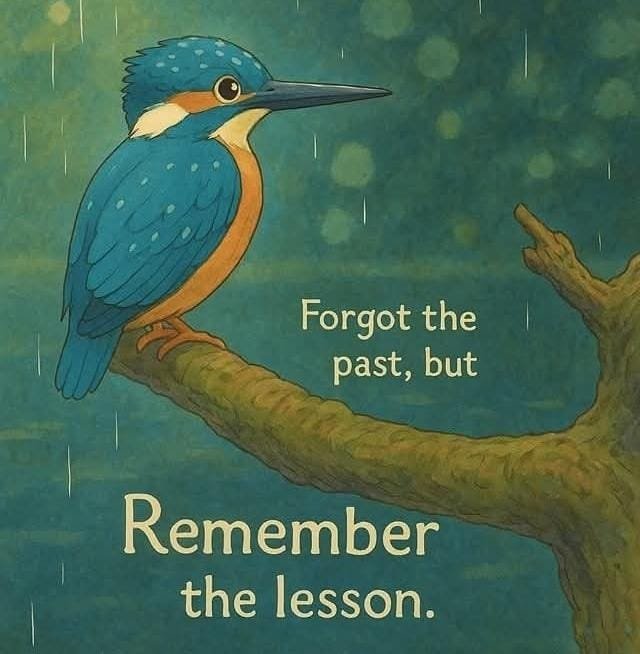 AshfaqMerw95038's tweet photo. Forget what happened, but don't forget what it taught you.
#selfdiscipline#success#mindset#motivation https://t.co/jcpuRxGFkc