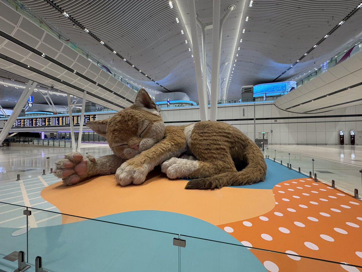 Too_Good_'s tweet photo. 巨大猫

しっぽやみみが何気に動くのでかわいいw https://t.co/rAFGWawvOH
