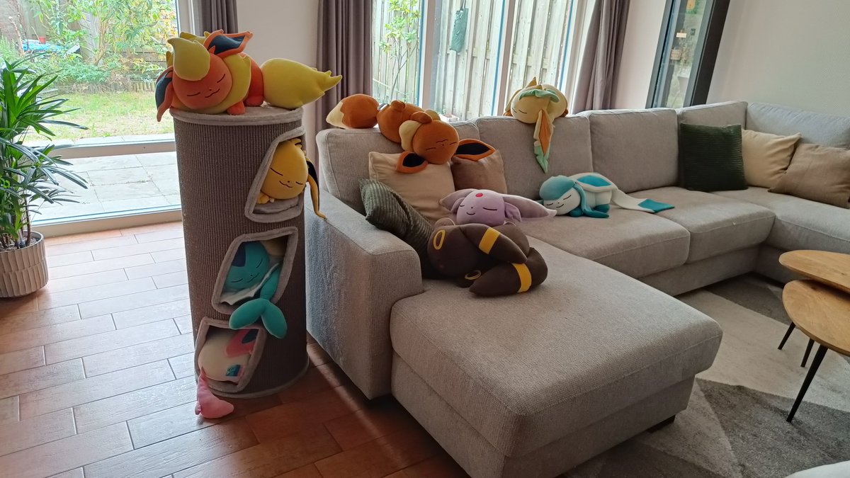 HCollectus's tweet photo. In a house full of eevees, every sleeping spot is always taken https://t.co/2THov6ZbWc