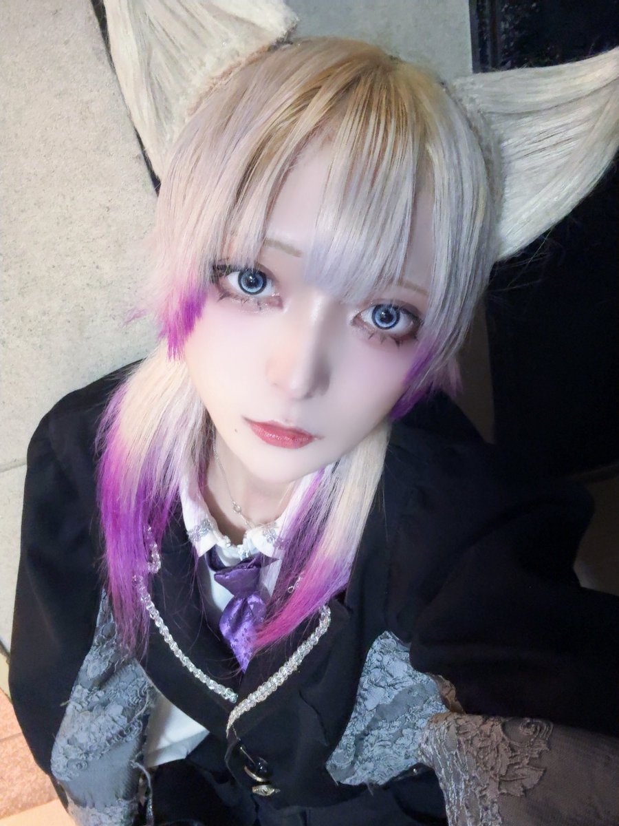 senkyoku_shiki's tweet photo. 🐾🐾 https://t.co/SR4ivUWmgj