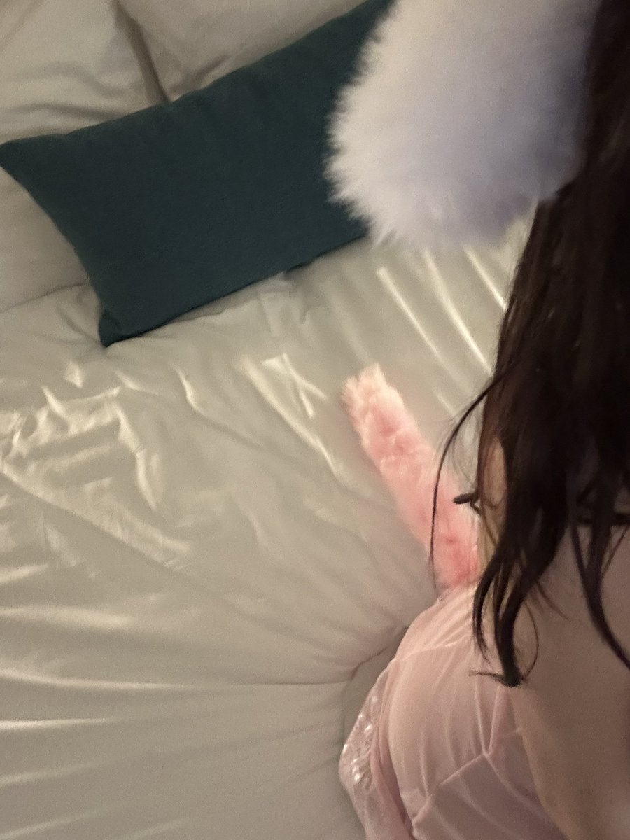 littlemissb3lle's tweet photo. kitty got caught ଘ៸៸᳐⦁⩊⦁៸៸᳐ଓ https://t.co/ZTH5acRdAu