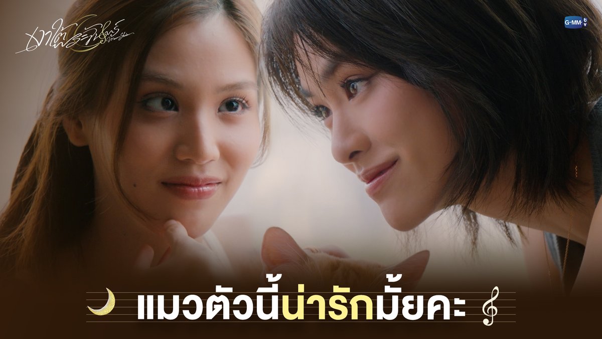 Two women gaze tenderly at an orange kitten nestled between them, with the Thai caption "แมวตัวนี้น่ารักมั้ยคะ" (Is this cat cute?) displayed prominently, promoting the GMMTV series "เงาใต้พระจันทร์ Moonshadow" airing Wednesdays at 8:30 PM on GMM25.