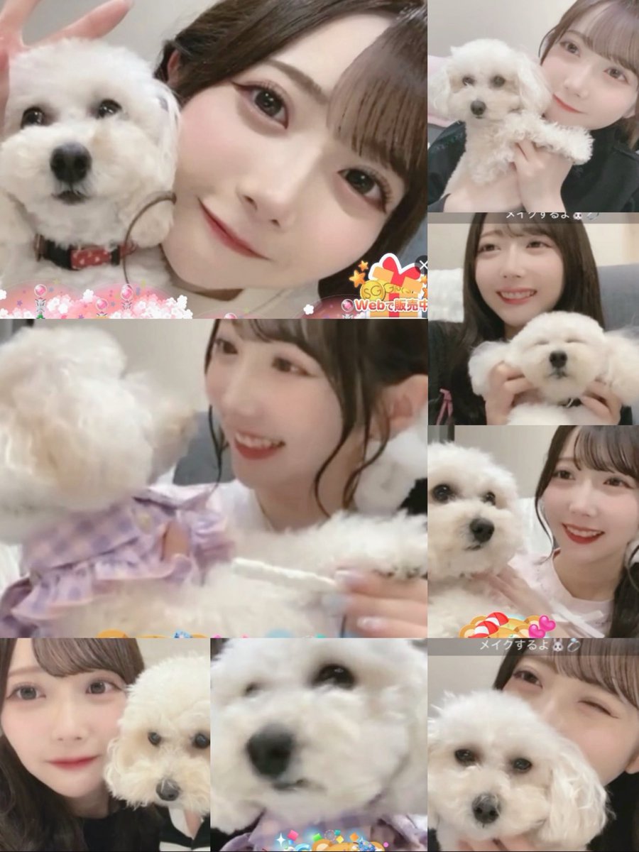 sysy_rya's tweet photo. 0️⃣9️⃣3️⃣0️⃣は #くるみの日 🐶🐾💖

#谷崎早耶 https://t.co/273LAGImD4