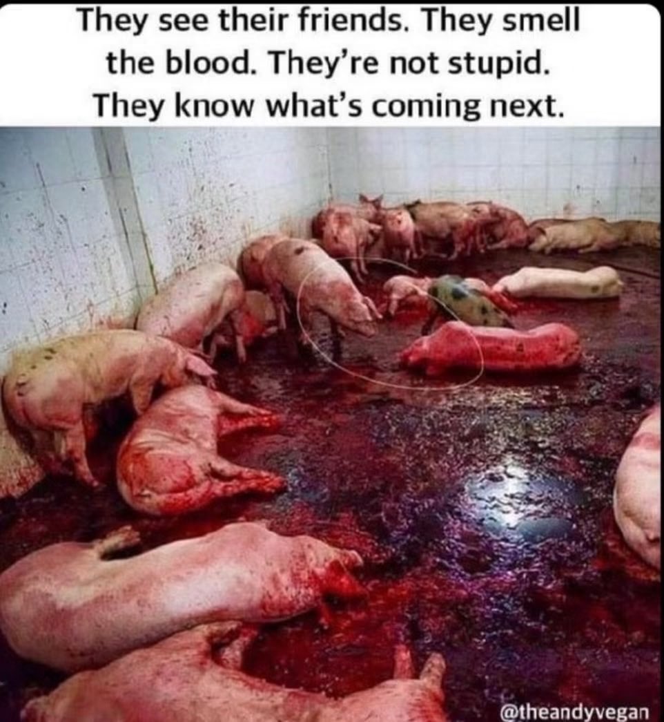 ShortnBluntTho's tweet photo. "We have turned this world into a giant slaughterhouse…

Drowning in a sea of blood! 💔💔💔” https://t.co/4Ozwwu1osY