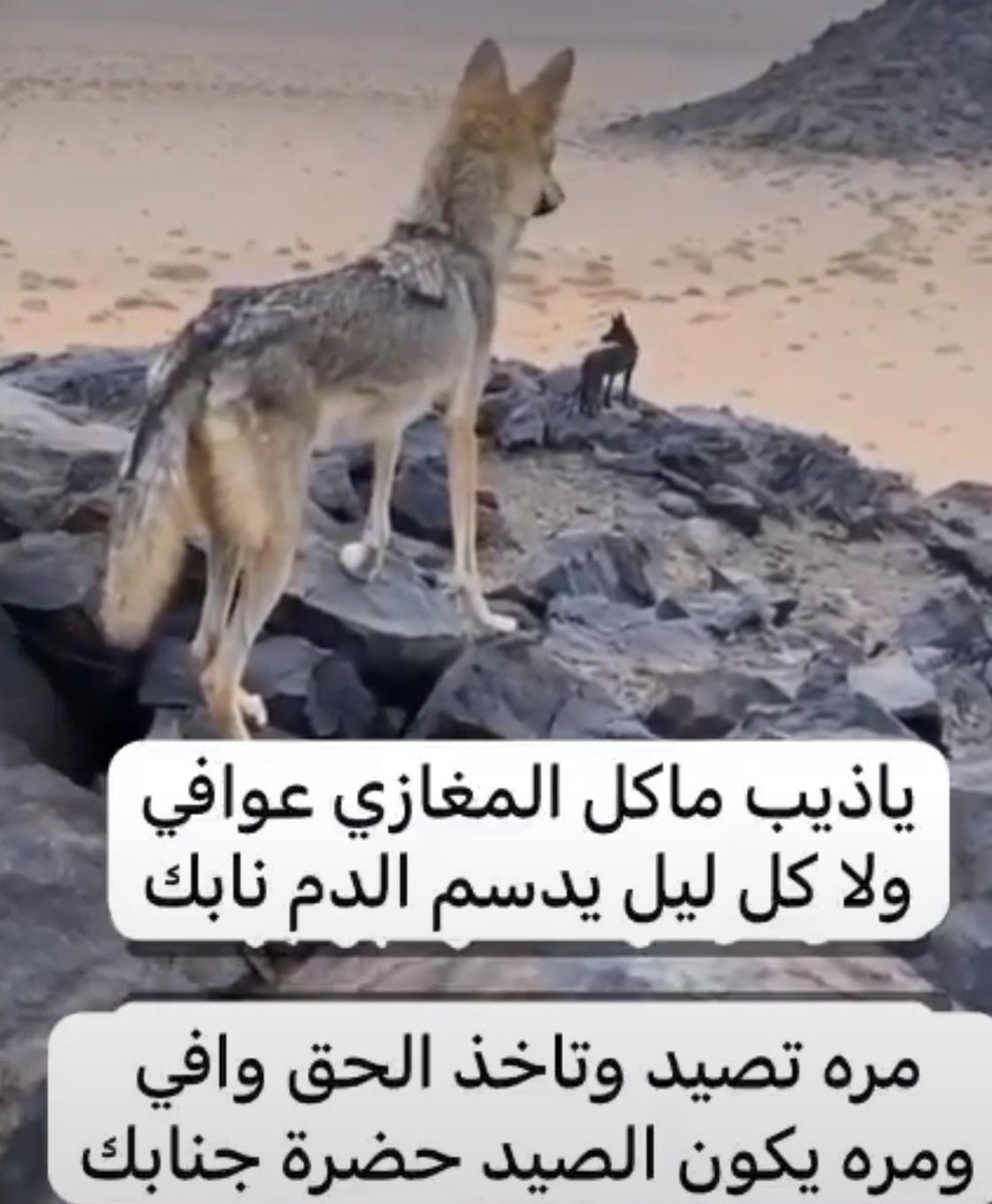 abufahd2014's tweet photo. https://t.co/tTI4TiEIjB
