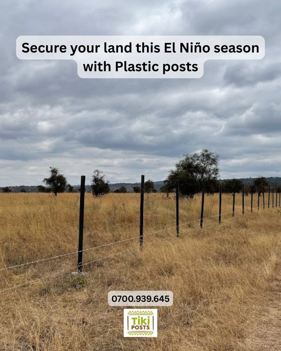 TikiPosts's tweet photo. Secure your land before the rains! TikiPosts plastic posts are built for lasting fencing,no rotting and no termites. 
Protect your property,shamba and investment. 
Order yours today: 0700 939 645.  #FarmFencing #AgriculturalFencing #PlasticPosts #LandSecurity #SustainableFencing https://t.co/SToJvnAa3B
