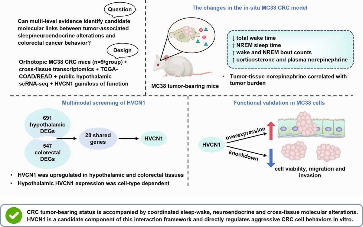 APSPublications's tweet photo. New in Comprehensive Physiology 🚨 Integrated Multi-Omics Analysis Identifies #HVCN1 as a 0Potential Mediator in #Neuroendocrine–Tumor Interactions in #Colorectal Cancer. Read: https://t.co/gZPOccSkzH #CRC https://t.co/slUG380Z8h