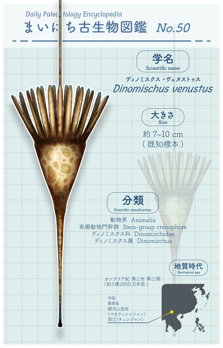 mirokunn2224's tweet photo. #Cambrian #illustration #paleoart #イラスト
花のような見た目の謎生物、ディノミスクス！
植物のような見た目だが、れっきとした動物だぞ！ https://t.co/kLcrpFWS1g