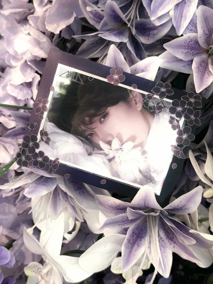 sssss_singing's tweet photo. 姫˘͈ᵕ˘͈🎐🪻🤍⋆˚⟡ ˖
#山中柔太朗 #MILK https://t.co/k2asFJQYLV