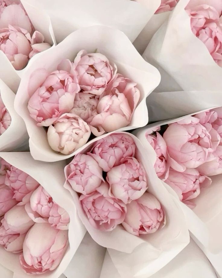 geniuswomanvibe's tweet photo. she loves pink https://t.co/NWB3y7N88c