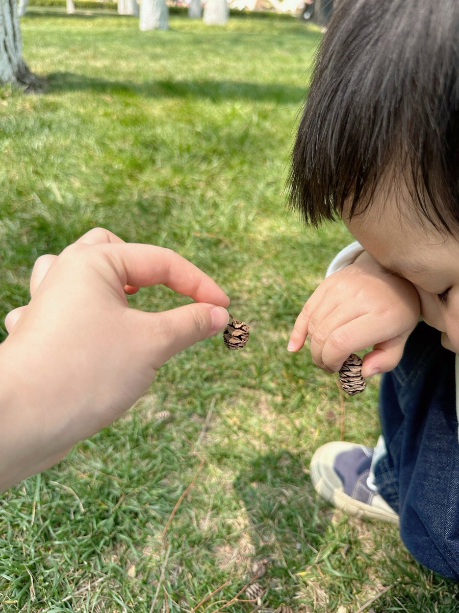 AnnikaKfk's tweet photo. Jugamos a buscar tesoros en el jardín hoy! Encontrar conejitos de plástico nos hizo reír muchísimo. ， https://t.co/ne2HJYU4nQ