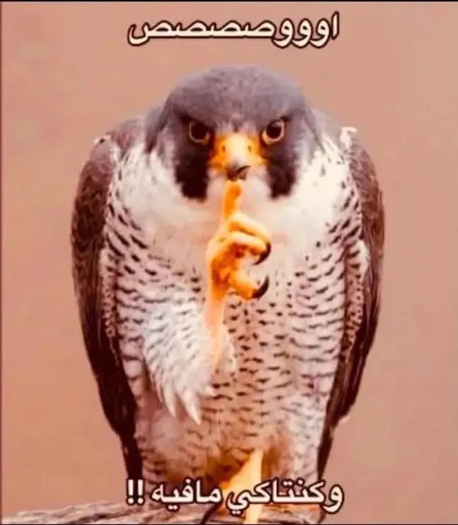 moraofwed's tweet photo. شكراً للتحديث الجديد https://t.co/JFBaa2sg3F
