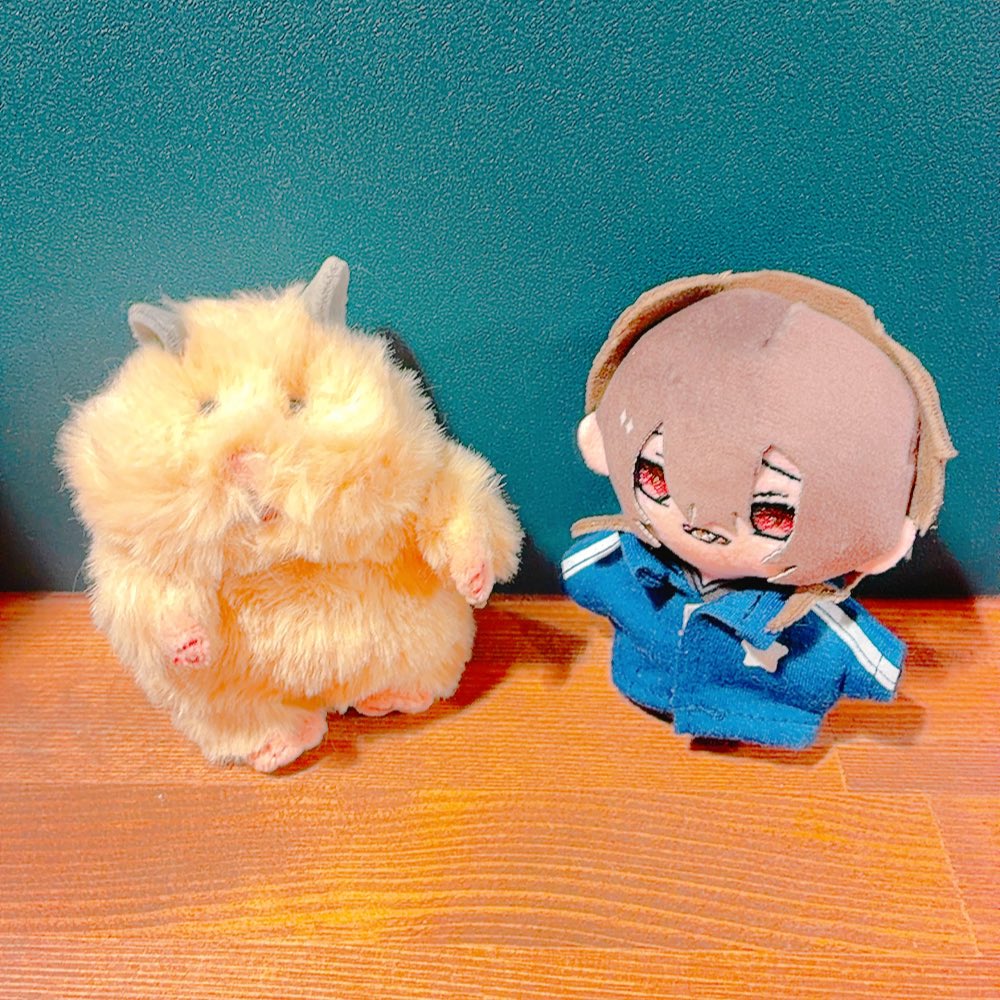 kdkdkdk_C2's tweet photo. ハムにぎりとジャージこどぬ https://t.co/bAePuZoLiC