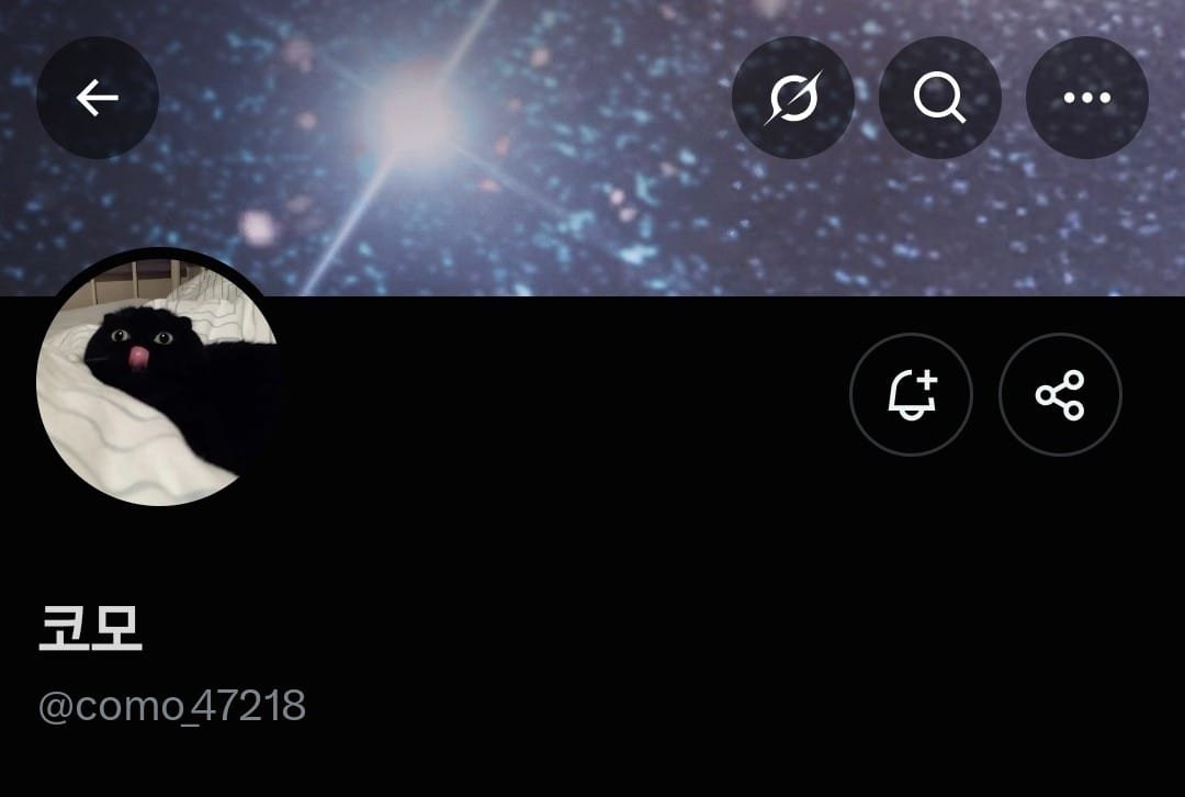 woojeworlds tweet picture