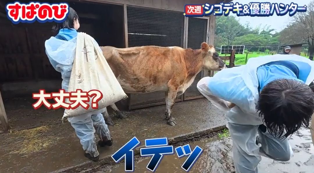 non_oO_'s tweet photo. はるかすぱのびで毎回同じとこ痛めてるのなんなんWWWWWW
 #すぱのび https://t.co/RICSCnPE8K