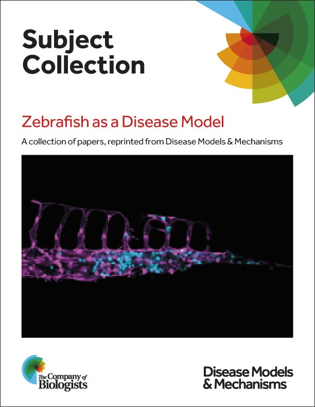 DMM_Journal's tweet photo. With #ZDM19 coming to an end today, check out our growing collection of #zebrafish research and review-type articles:
https://t.co/ML8xDVITEX
@ZDMSociety https://t.co/c1zwrB3RRL