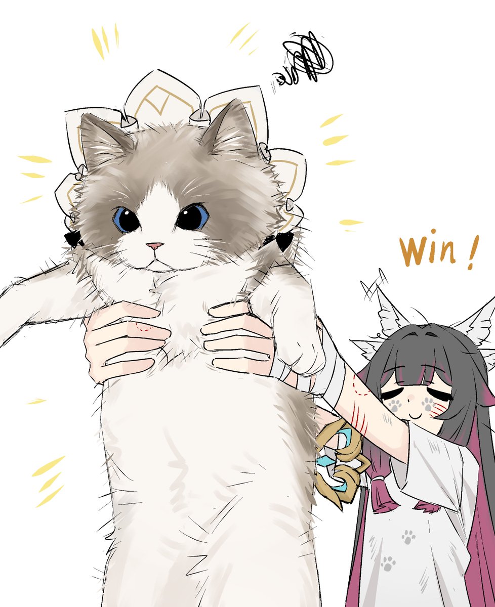Zx277x's tweet photo. 🐱 https://t.co/EuGA6Hwc9T
