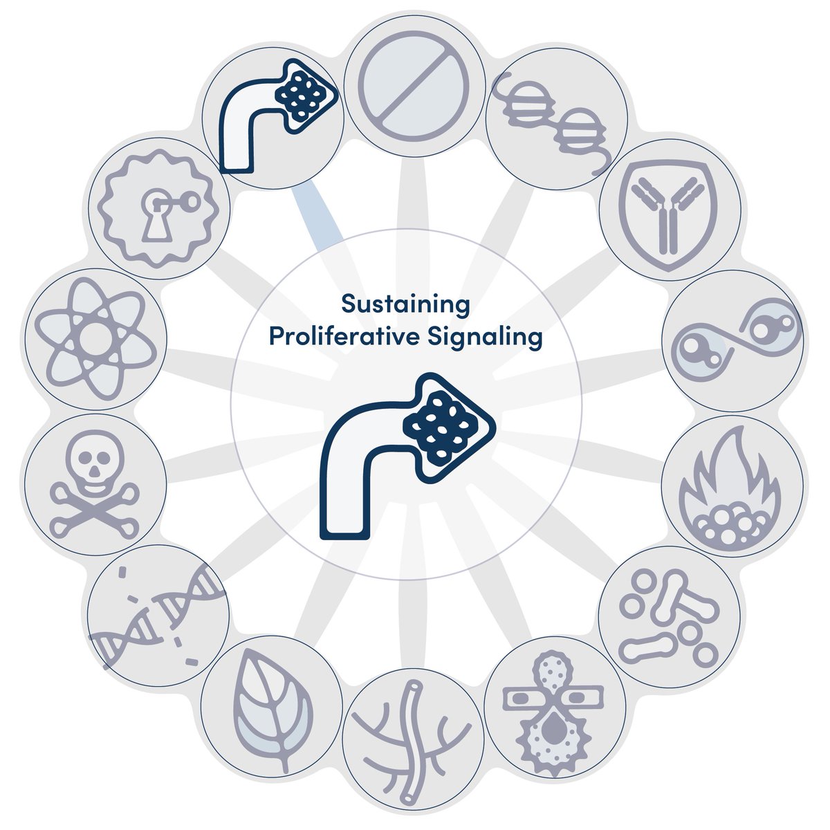 CellSignal's tweet photo. Identifying key drivers of sustained cellular proliferation is now possible at the single-cell level 📈

InTraSeq™ Single Cell Analysis conjugate antibody cocktails contain key cell growth and viability signaling targets: https://t.co/zSJF1KkZPj https://t.co/NgEylMM2Jn